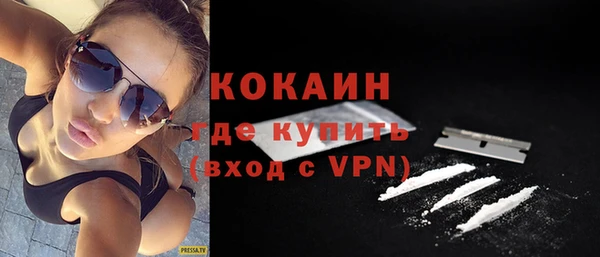 стаф Сосновый Бор