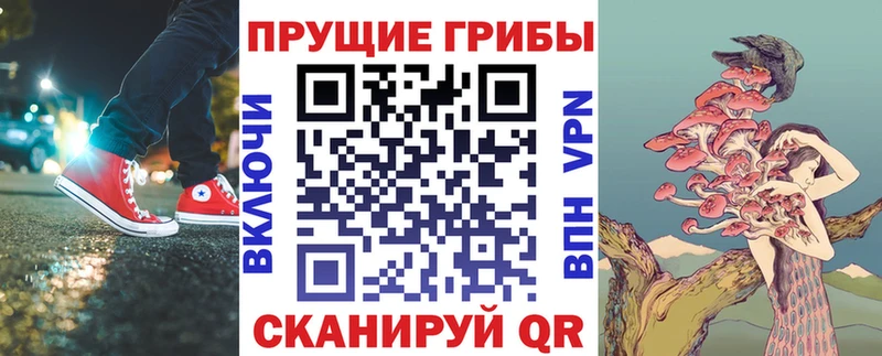 ссылка на мегу зеркало  Кунгур  Псилоцибиновые грибы MAGIC MUSHROOMS 